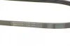 Ремінь генератора Renault Kangoo/Megane/Laguna 1.4/1.5 dCi/1.6 03-/Audi A6 4.2FSI 06-11 CONTINENTAL Contitech 5PK1135 (фото 3)