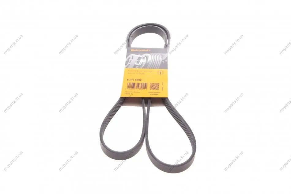 Ремінь генератора VW Passat 1.9TDI 96-00/Audi A4/A6 1.9TDI 95-01/Kia Carnival 2.9TDi/CRDi 99-06 CONTINENTAL Contitech 5PK1592 (фото 1)