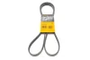 Ремінь генератора MB A-class (W169)/B-class (W245) 1.5-2.0 04-12/Opel Insignia 2.0T 13-17 CONTINENTAL Contitech 5PK1765 (фото 1)