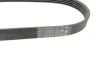 Ремінь генератора Ford Mondeo IV 2.5 07-15/Volvo S60/S80/V60/V70/XC60/XC70 07-16 CONTINENTAL 5PK628 ELAST Contitech 5PK628-ELAST (фото 3)