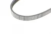 Ремінь генератора Ford C-Max/ Focus/ Volvo S40 1.8-2.0 06-12 CONTINENTAL 5PK705 ELAST Contitech 5PK705-ELAST (фото 3)