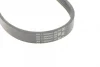 Ремінь генератора Ford C-Max/ Focus/ Volvo S40 1.8-2.0 06-12 CONTINENTAL 5PK705 ELAST Contitech 5PK705-ELAST (фото 4)