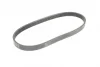 Ремінь генератора Ford C-Max/ Focus/ Volvo S40 1.8-2.0 06-12 CONTINENTAL 5PK705 ELAST Contitech 5PK705-ELAST (фото 5)