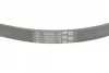 Ремінь генератора Ford Focus 1.6i CONTINENTAL 5PK868 ELAST Contitech 5PK868-ELAST (фото 3)