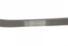 Ремінь генератора Ford Fiesta/Focus CONTINENTAL 6PK1019 ELAST Contitech 6PK1019-ELAST (фото 3)