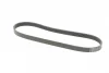 Ремінь генератора Ford Fiesta/Focus CONTINENTAL 6PK1019 ELAST Contitech 6PK1019-ELAST (фото 5)