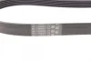 Ремінь генератора Ford Fiesta VI/Mondeo IV 08- CONTINENTAL 6PK1029 ELAST Contitech 6PK1029-ELAST (фото 3)
