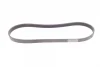 Ремінь генератора Ford Fiesta VI/Mondeo IV 08- CONTINENTAL 6PK1029 ELAST Contitech 6PK1029-ELAST (фото 5)