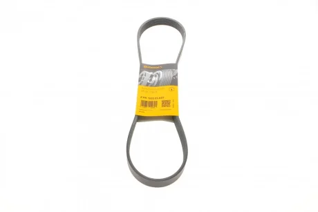 Ремінь генератора Ford Fiesta VI 1.25-1.6Ti 08- CONTINENTAL 6PK1033 ELAST Contitech 6PK1033-ELAST
