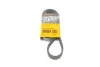 Ремінь генератора Ford Focus/Fiesta/Fusion 1.25-1.6 99-12/Mazda 2 1.25-1.6 03-07 CONTINENTAL 6PK1042 ELAST Contitech 6PK1042-ELAST (фото 1)