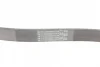 Ремінь генератора Ford Focus/Fiesta/Fusion 1.25-1.6 99-12/Mazda 2 1.25-1.6 03-07 CONTINENTAL 6PK1042 ELAST Contitech 6PK1042-ELAST (фото 3)
