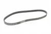 Ремінь генератора Ford Focus/Fiesta/Fusion 1.25-1.6 99-12/Mazda 2 1.25-1.6 03-07 CONTINENTAL 6PK1042 ELAST Contitech 6PK1042-ELAST (фото 5)