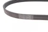 Ремінь генератора Ford Focus 1.6 04-/Volvo C30/S40/V50 05-12 CONTINENTAL 6PK1059 ELAST Contitech 6PK1059-ELAST (фото 2)