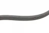 Ремінь генератора Ford Focus 1.4/1.6i 03-/Volvo C30/S40/V50 1.6 05-12 (6PK1059 ELAST+5PK868 ELAST) CONTINENTAL 6PK1059 ELAST T2 Contitech 6PK1059-ELAST-T2 (фото 2)