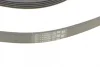 Ремінь генератора Ford Focus 1.4/1.6i 03-/Volvo C30/S40/V50 1.6 05-12 (6PK1059 ELAST+5PK868 ELAST) CONTINENTAL 6PK1059 ELAST T2 Contitech 6PK1059-ELAST-T2 (фото 4)