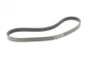 Ремінь генератора Ford Focus 1.4/1.6i 03-/Volvo C30/S40/V50 1.6 05-12 (6PK1059 ELAST+5PK868 ELAST) CONTINENTAL 6PK1059 ELAST T2 Contitech 6PK1059-ELAST-T2 (фото 5)