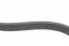 Ремінь генератора Ford Focus 1.4/1.6i 03-/Volvo C30/S40/V50 1.6 05-12 (6PK1059 ELAST+5PK868 ELAST) CONTINENTAL 6PK1059 ELAST T2 Contitech 6PK1059-ELAST-T2 (фото 6)