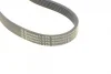 Ремінь генератора Ford Focus 1.4/1.6i 03-/Volvo C30/S40/V50 1.6 05-12 (6PK1059 ELAST+5PK868 ELAST) CONTINENTAL 6PK1059 ELAST T2 Contitech 6PK1059-ELAST-T2 (фото 7)