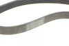 Ремінь генератора Ford Focus 1.4/1.6i 03-/Volvo C30/S40/V50 1.6 05-12 (6PK1059 ELAST+5PK868 ELAST) CONTINENTAL 6PK1059 ELAST T2 Contitech 6PK1059-ELAST-T2 (фото 8)