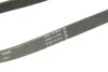 Ремінь генератора Citroen Jumpy/Peugeot Expert 2.0 BlueHDi 16- CONTINENTAL 6PK1073 EXTRA Contitech 6PK1073-EXTRA (фото 4)
