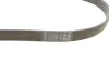 Ремінь генератора Citroen DS5/Peugeot 3008/508 I 2.0DH 10-18 CONTINENTAL 6PK1080 EXTRA Contitech 6PK1080-EXTRA (фото 2)