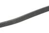 Ремінь генератора MB Sprinter (W906/W907/W910) 2.2 CDI (OM651) 06- (6PK1124) CONTINENTAL 6PK1124 ELAST Contitech 6PK1124-ELAST (фото 3)