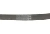 Ремінь генератора MB Sprinter (W906/W907/W910) 2.2 CDI (OM651) 06- (6PK1124) CONTINENTAL 6PK1124 ELAST Contitech 6PK1124-ELAST (фото 5)