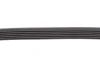 Ремінь генератора BMW 5 (G30/F90)/X6 (G06/F96)/X7 (G07) 2.0/3.0 Hybrid B48/B58 20- CONTINENTAL 6PK1196 EXTRA Contitech 6PK1196-EXTRA (фото 3)