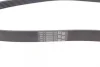 Ремінь генератора Ford Focus 1.8/2.0 04-12 CONTINENTAL 6PK1240 ELAST Contitech 6PK1240-ELAST (фото 2)