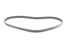 Ремінь генератора Ford Focus 1.8/2.0 04-12 CONTINENTAL 6PK1240 ELAST Contitech 6PK1240-ELAST (фото 5)
