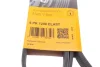 Ремінь генератора Ford Focus 1.8/2.0 04-12 CONTINENTAL 6PK1240 ELAST Contitech 6PK1240-ELAST (фото 6)