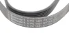 Ремінь генератора Land Rover Defender/Range Rover 3.0 Hybrid 19- CONTINENTAL 6PK1401 EXTRA Contitech 6PK1401-EXTRA (фото 3)