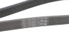 Ремінь генератора Land Rover Defender/Range Rover 3.0 Hybrid 19- CONTINENTAL 6PK1401 EXTRA Contitech 6PK1401-EXTRA (фото 4)