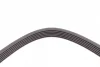 Ремінь генератора VW Golf 1.6FSI 02-06/BMW 3 (E46)/5 (E39/E60) 2.0-3.0 97-10/Ford Focus/Kuga 1.5 14- CONTINENTAL Contitech 6PK1538 (фото 4)