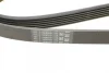 Ремінь генератора Peugeot 206/406/806/Expert/Fiat Scudo/Citroen C5/C8/Jumpy 1.9D/2.0HDI 95- CONTINENTAL Contitech 6PK1740 (фото 4)