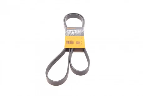 Ремінь генератора Renault Trafic/Master/Laguna/Opel Movano/Vivaro 1.9/2.5dCi/dTi 01-/Chevrolet Aveo CONTINENTAL Contitech 6PK1795