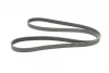 Ремінь генератора Opel Combo/Astra/Vectra/Omega 1.2-2.2 91-03/BMW 1 (E81/E87) 2.0D 04-11 CONTINENTAL Contitech 6PK1800 (фото 5)