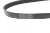 Ремінь генератора VW Golf VI/Caddy III 1.6-2.0 TDI 10-/Skoda Octavia 09-13/Audi A3 1.6/2.0TDI 03-13 CONTINENTAL 6PK842 ELAST Contitech 6PK842-ELAST (фото 2)