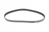 Ремінь генератора VW Golf VI/Caddy III 1.6-2.0 TDI 10-/Skoda Octavia 09-13/Audi A3 1.6/2.0TDI 03-13 CONTINENTAL 6PK842 ELAST Contitech 6PK842-ELAST (фото 5)