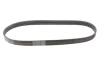 Ремінь генератора VW Crafter/T6 2.0 TDI 15- (6PK860) CONTINENTAL 6PK860 ELAST Contitech 6PK860-ELAST (фото 1)