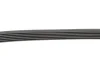 Ремінь генератора VW Crafter/T6 2.0 TDI 15- (6PK860) CONTINENTAL 6PK860 ELAST Contitech 6PK860-ELAST (фото 3)
