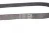 Ремінь генератора Citroen Jumper/Peugeot Boxer 2.0/2.2HDi 04- (-AC)/Opel Movano 2.5D CONTINENTAL 6PK873 ELAST Contitech 6PK873-ELAST (фото 3)