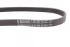 Ремінь генератора Citroen Berlingo/Peugeot Partner 1.6VTi 09- CONTINENTAL 6PK905 EXTRA Contitech 6PK905-EXTRA (фото 2)