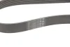 Ремінь генератора BMW X1 (F48)/X2 (F39) 1.5 hybrid 20- B38 (8PK954) CONTINENTAL 8PK954 EXTRA Contitech 8PK954-EXTRA (фото 3)