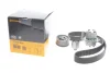 Комплект ГРМ + помпа Audi A3/VW Caddy III/VW T5 1.4-2.0 TDI 03- (30x120z) CONTINENTAL Contitech CT1028WP3 (фото 2)