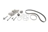 Комплект ГРМ + помпа VW Polo/Skoda Fabia 1.0-1.6 TSI 14- (10x81z/20x163z) CONTINENTAL Contitech CT1167WP3PRO (фото 1)