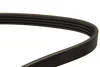Ремінь генератора Citroen Berlingo1.1-1.6 96-11/Toyota Camry 3.0 91-96 DAYCO 4PK812 (фото 2)