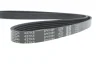 Ремінь генератора Mitsubishi Pajero 1.8/2.0 GDI 99-07/Volvo S40/V40 1.8i 98-04 DAYCO 5PK1084 (фото 4)