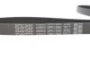 Ремінь генератора Fiat Ducato 2.5D/TD/TDI 94-02/Toyota Rav4 2.0 97-00/Audi A4/A5 12-15 DAYCO 5PK1090 (фото 3)