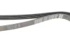 Ремінь генератора Opel Astra/Corsa 1.0/1.2/1.4 00- DAYCO 5PK1355 (фото 2)